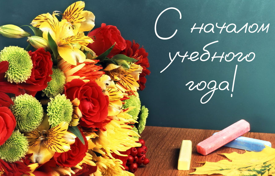 Начало. 2023. 31-й сезон